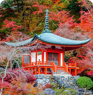 kyoto